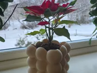 Bubble planter