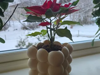 Bubble planter