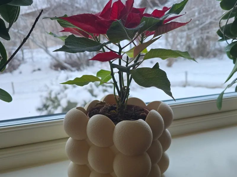 Bubble planter