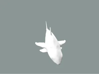 quad fin shark