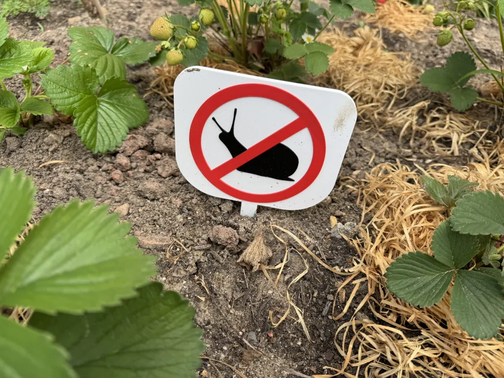 Slug Forbidden Sign Prohibition sign no birds, slugs, cats allowed by didldiprint ...