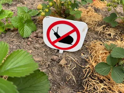 Prohibition sign no birds, slugs, cats allowed