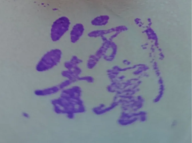 【万毒窟印章】—《画江湖之不良人》