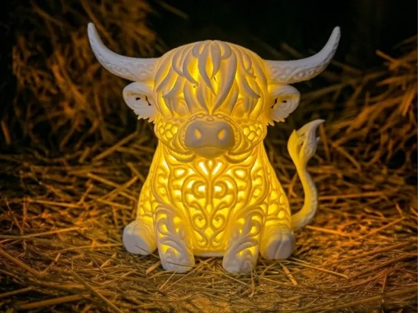 https://makerworld.bblmw.com/makerworld/model/USd252bfae2f3f78/design/cedceab9ba439f84.png