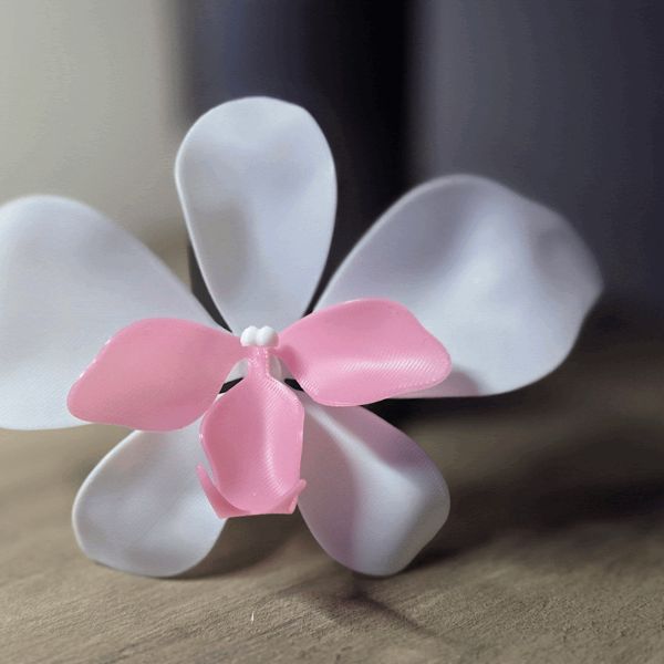 https://makerworld.bblmw.com/makerworld/model/USd25b6a60d911bb/design/2025-02-18_487e7443d3866.gif