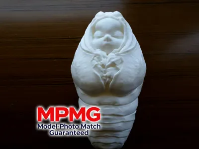 Cicada Pupa Baby