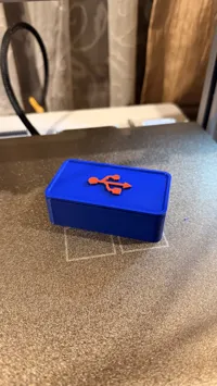 USB Storage Box with logo (AMS)