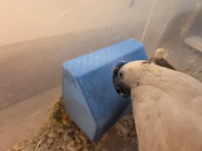 No-Mess Quail Feeder (Anti-Waste Design)