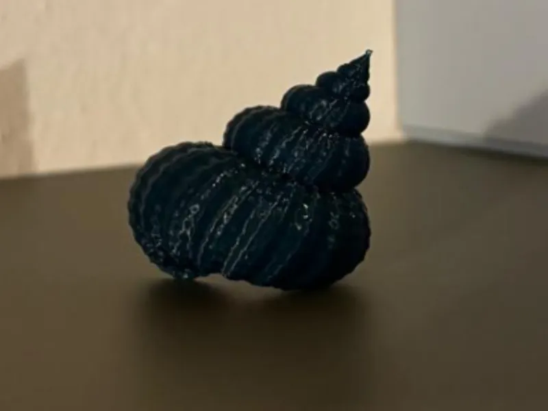 detailed shell