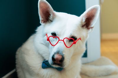 Heart Glasses