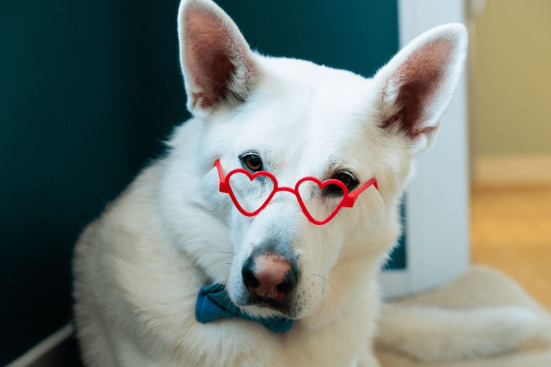 Heart Glasses