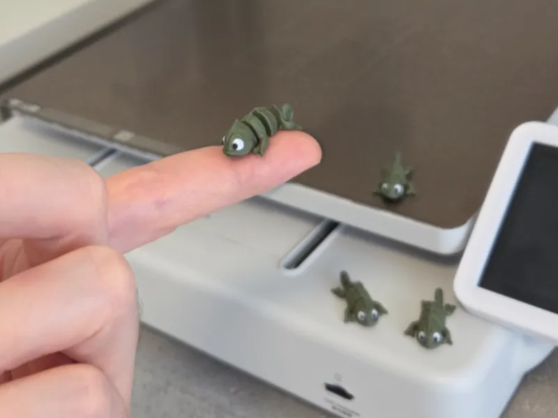 Cute tiny articulated  baby Chameleon