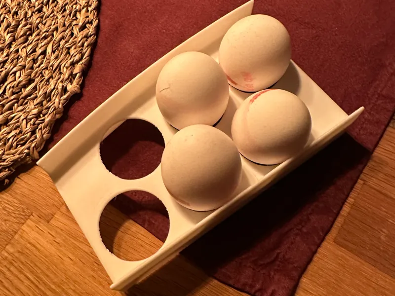 Egg Tray