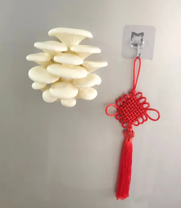 https://makerworld.bblmw.com/makerworld/model/USd2828ce87f4419/design/2024-08-03_48394290cb298.jpg