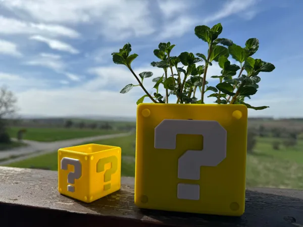 https://makerworld.bblmw.com/makerworld/model/USd2843cca191393/design/2024-03-31_726cd1a696524.jpg