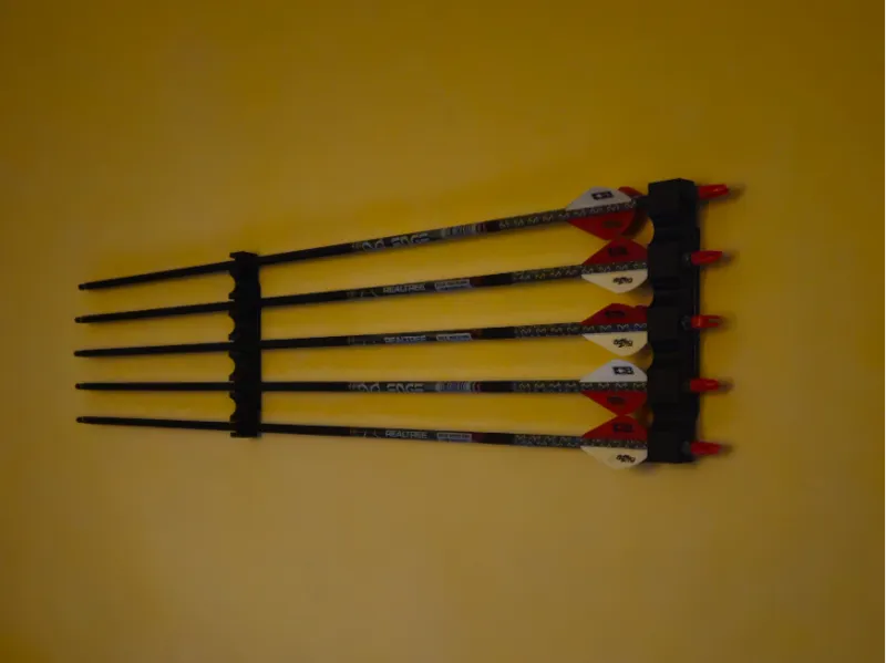 Wallmount arrow hangar 