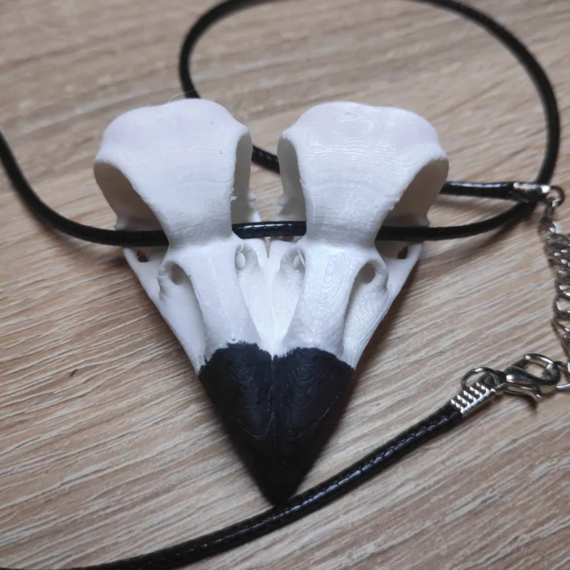 Heart shaped crow skull necklace