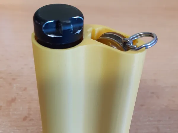 https://makerworld.bblmw.com/makerworld/model/USd2954b7a6dd400/design/2025-03-19_84b29aa5108f6.jpg