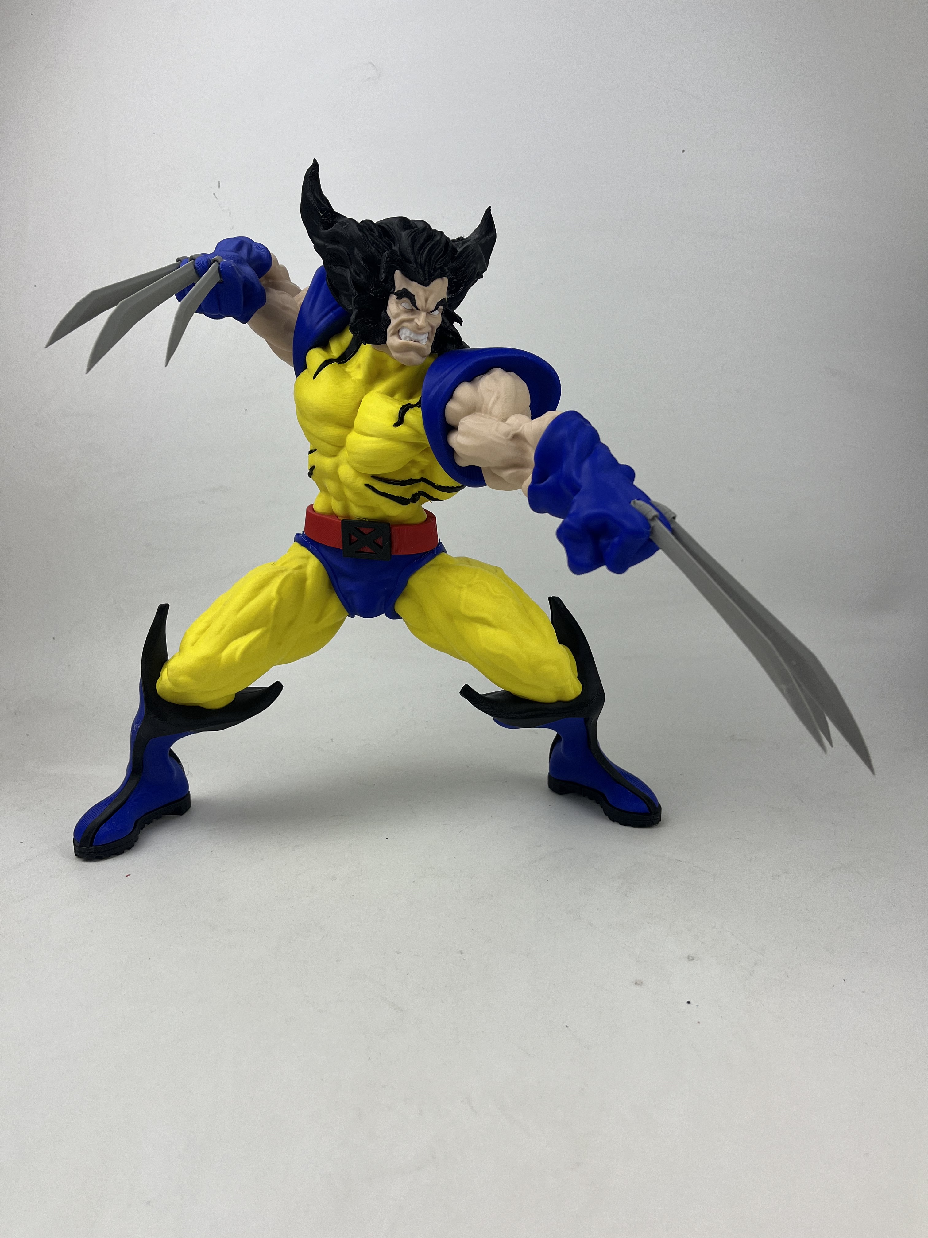 Wolverine-Fury Series - 1