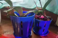 Pot et soucoupe pour orchidée — photo 2