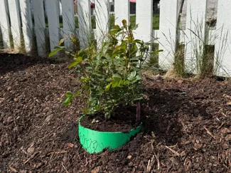 Sloped Garden Planter Ring – Plant Horizontally
