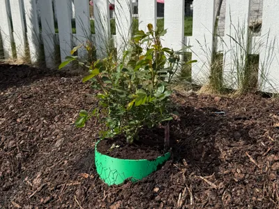 Sloped Garden Planter Ring – Plant Horizontally