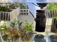 0.2mm layer, 2 walls, 100% infill