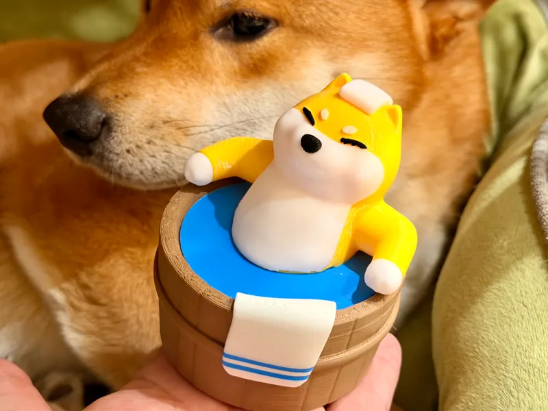 泡温泉的柴犬