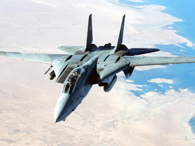 F-14 Tomcat silhouette