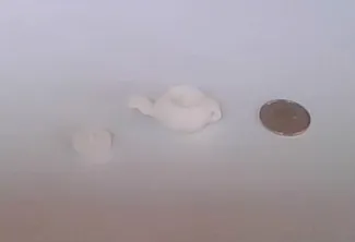 teapot with lid