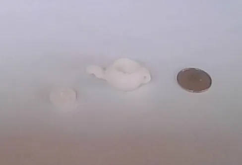 teapot with lid