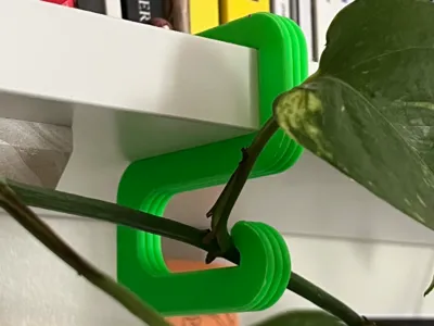 plant holder