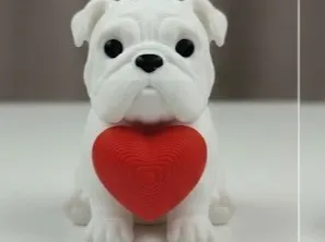 Cute Buldog Dog with Heart (Valentine's Gift)  