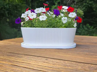 Wide planter for indoor plants