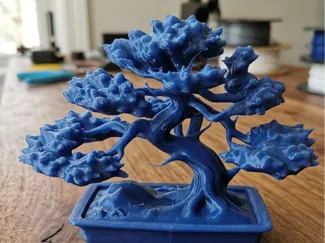 Bonsai Japones