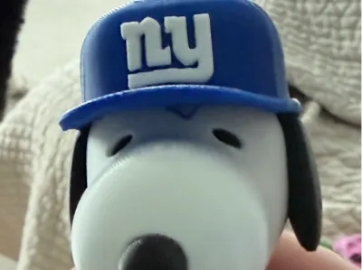 Snoopy NYG Model