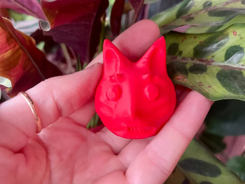 Cursed punk cat head