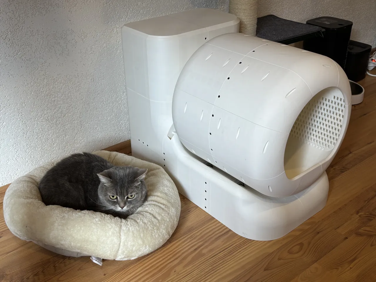 SmartCat Toilet view 2
