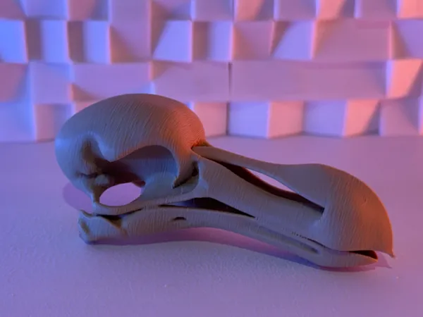 https://makerworld.bblmw.com/makerworld/model/USd2b63bb7652424/design/2025-07-04_9fc3d5327a3b1.jpeg