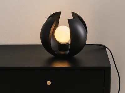 "Petal" Design Lamp