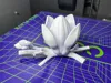 0.16mm layer, 2 walls, 15% infill