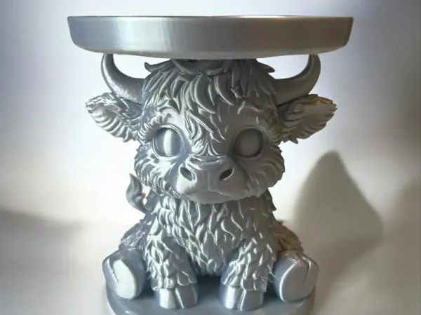 https://makerworld.bblmw.com/makerworld/model/USd2be41d2c150a/design/2026-01-11_e0219c411455f.jpg