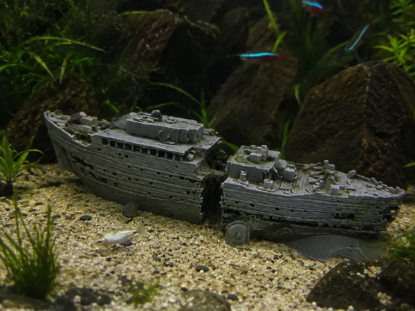https://makerworld.bblmw.com/makerworld/model/USd2c65fe9a26ef3/design/ab73b7927a55aed9.png