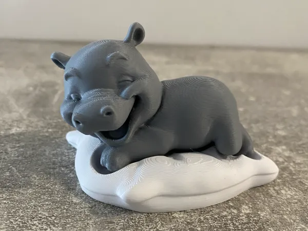 https://makerworld.bblmw.com/makerworld/model/USd2c6e785b7b292/design/2025-05-15_c01746fcdc3c48.jpg