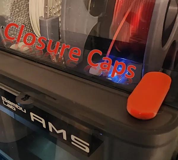 https://makerworld.bblmw.com/makerworld/model/USd2c7b7ce646010/design/2023-11-15_eb913a0bb2359.png