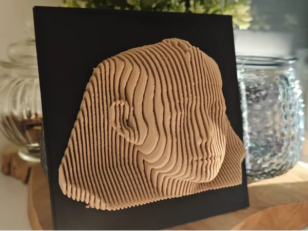 https://makerworld.bblmw.com/makerworld/model/USd2c997df0565d5/design/2025-04-02_18f87e57bafd4.jpg