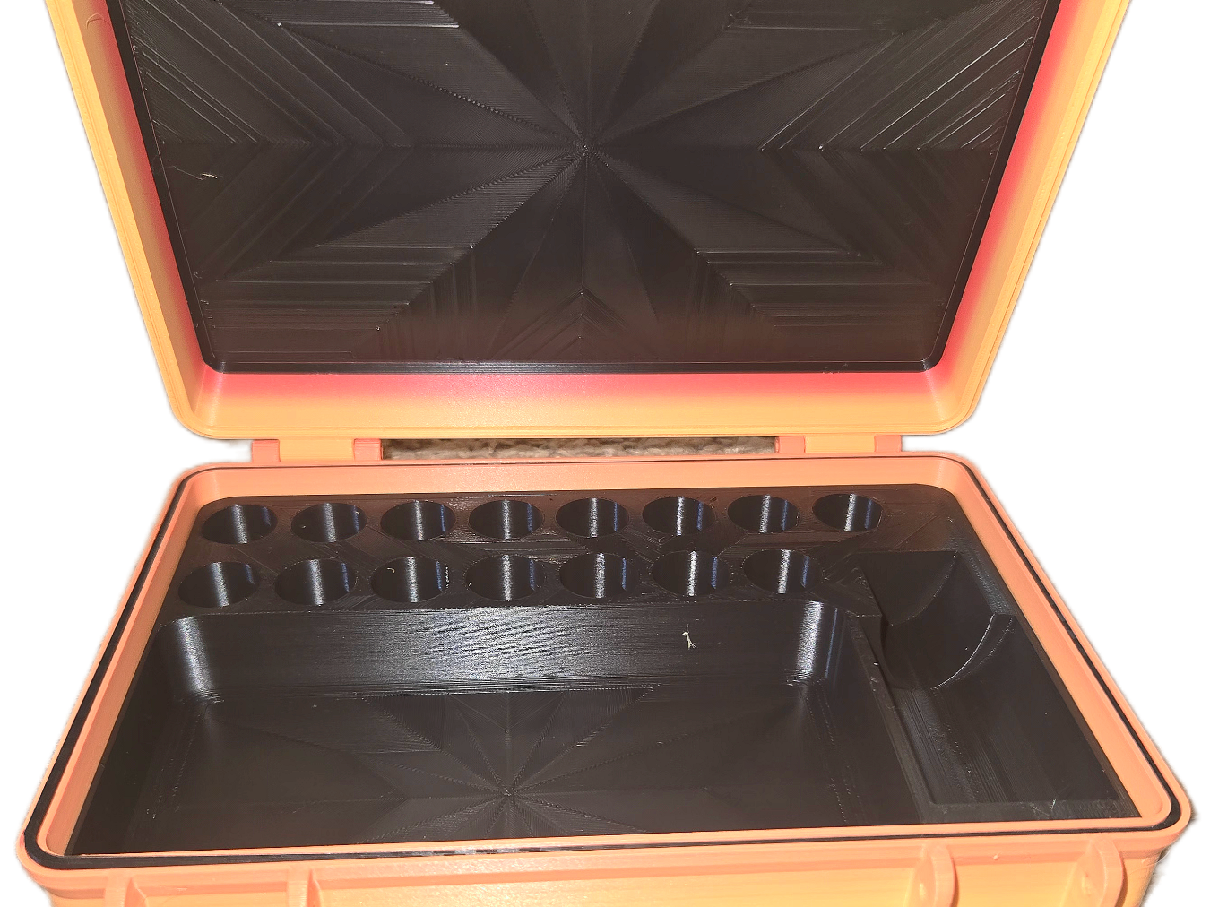 Peptide Organizer Case