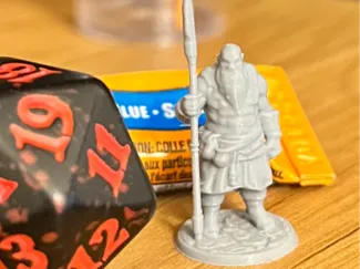 DnD Dwarf Monk
