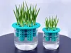 Hydroponic Propagation Lid