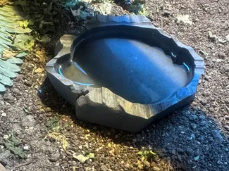 reptile lizard food water bowl dish
